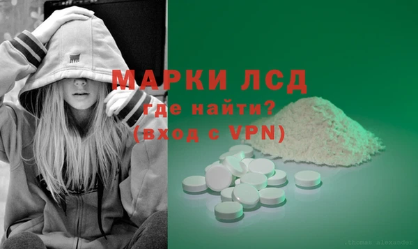 крисы Аркадак