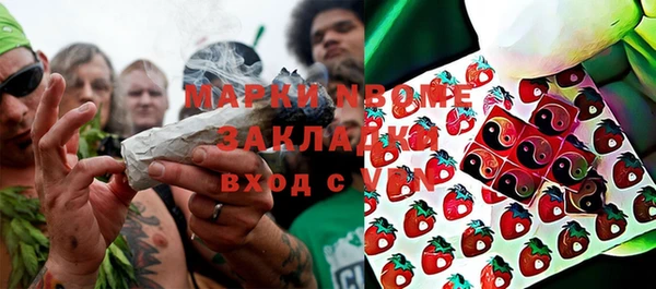 крисы Аркадак