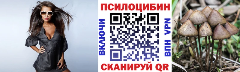Псилоцибиновые грибы Magic Shrooms  Купить закладки  Нижние Серги 